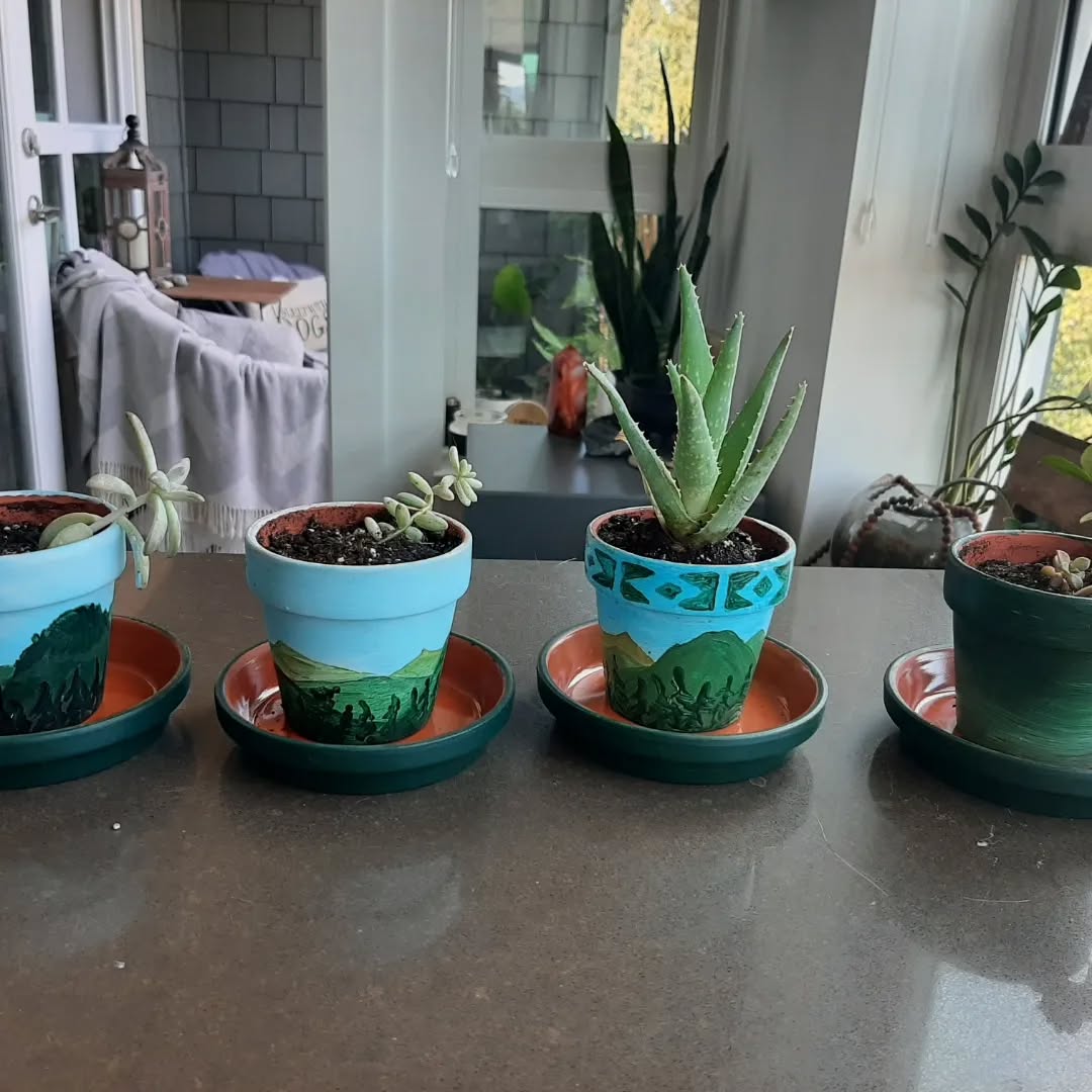 Durable paints bringing pots to life