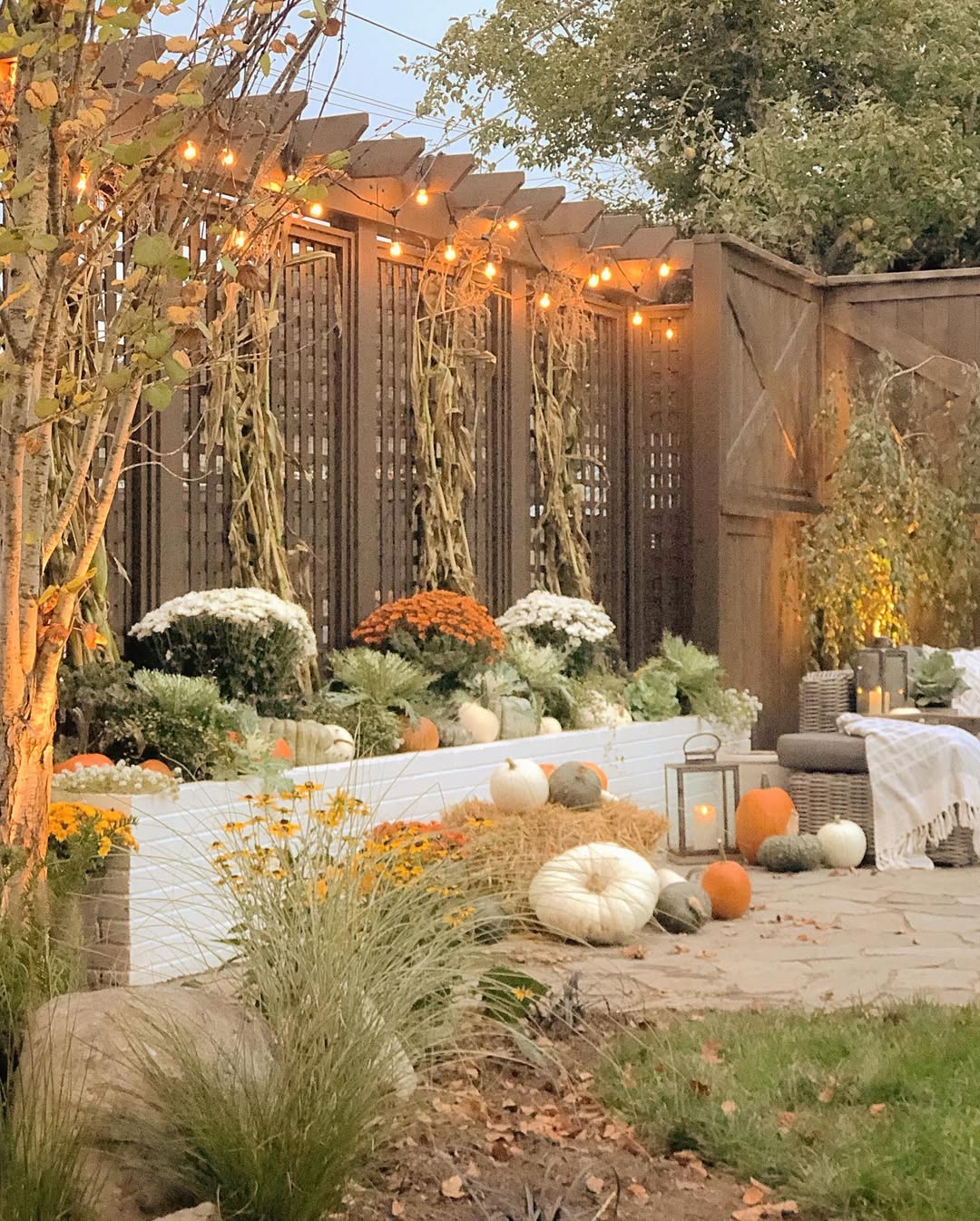 Soft amber lights set mood