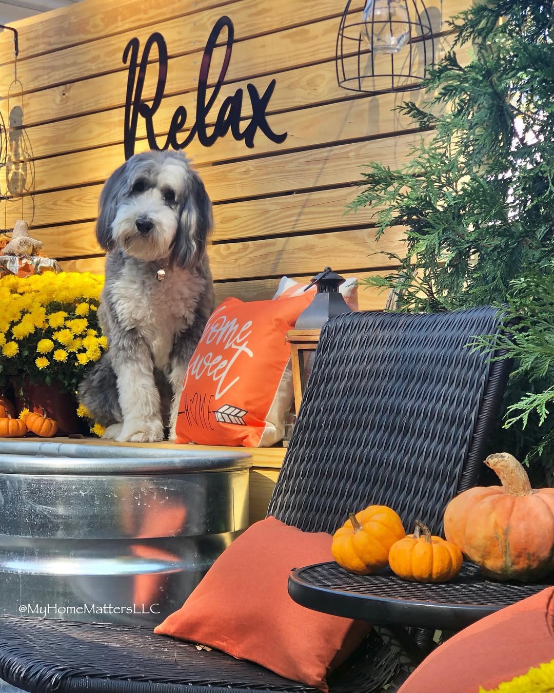 Tiny pumpkins, big fall charm