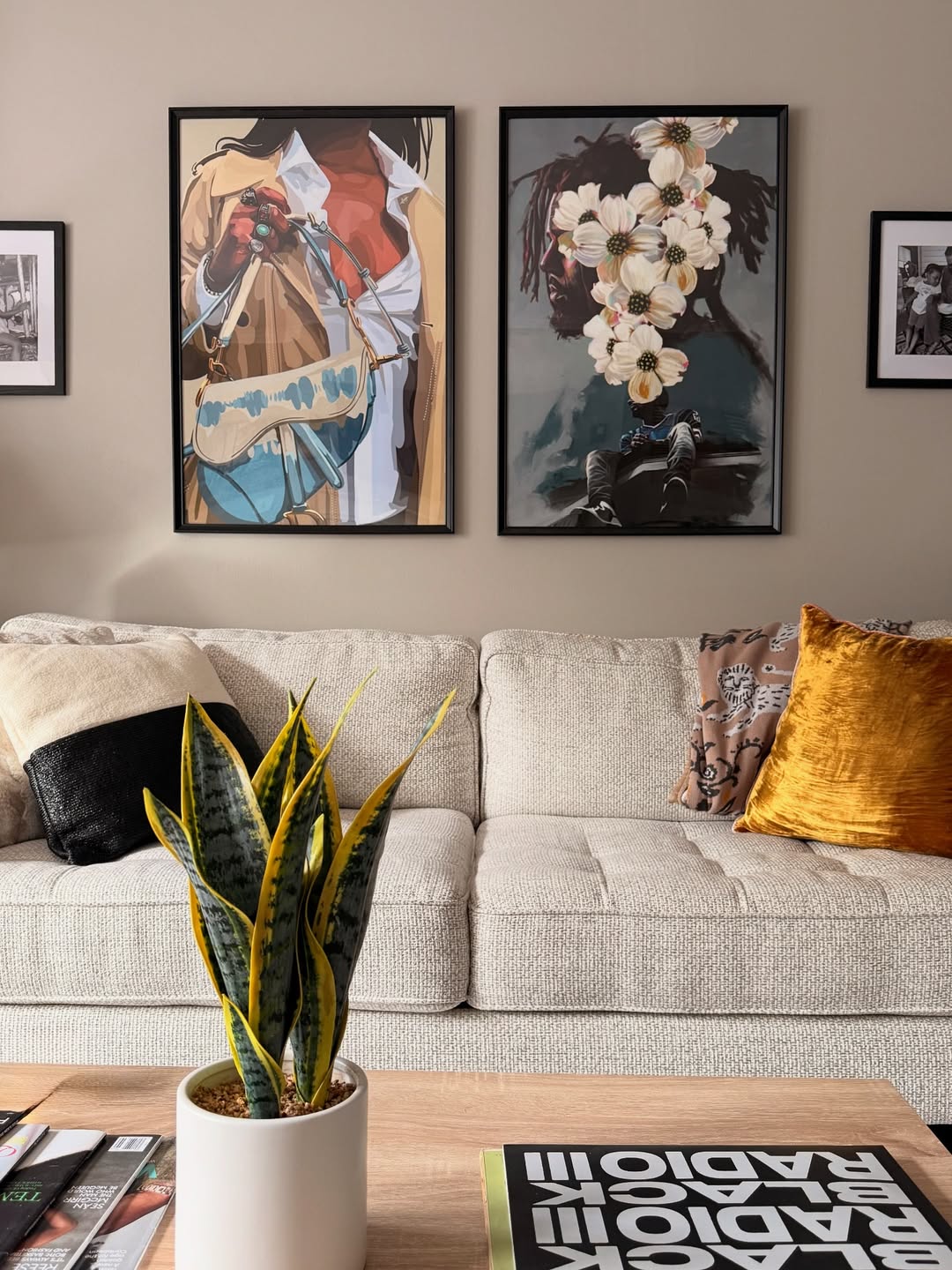 Snake plants are one of the easiest to maintain