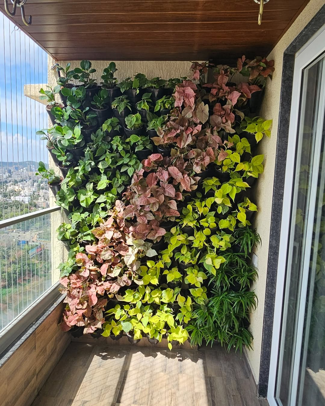 Layering and spacing in a vertical garden