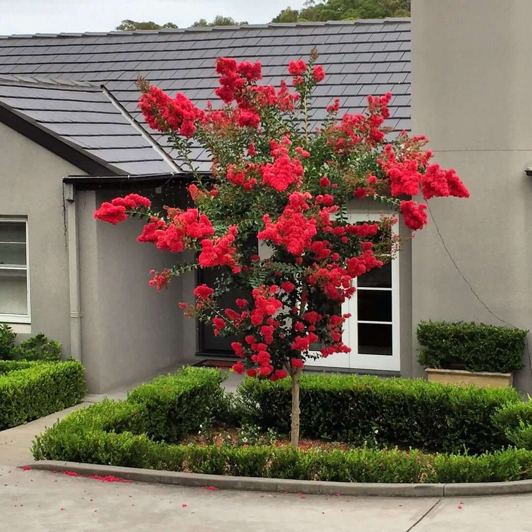 timsgardencentre