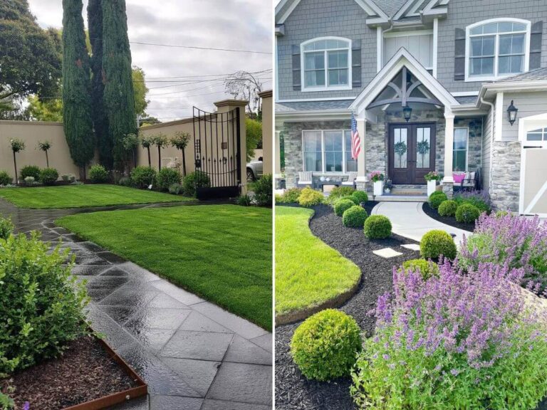 All-season front yard landscaping ideas