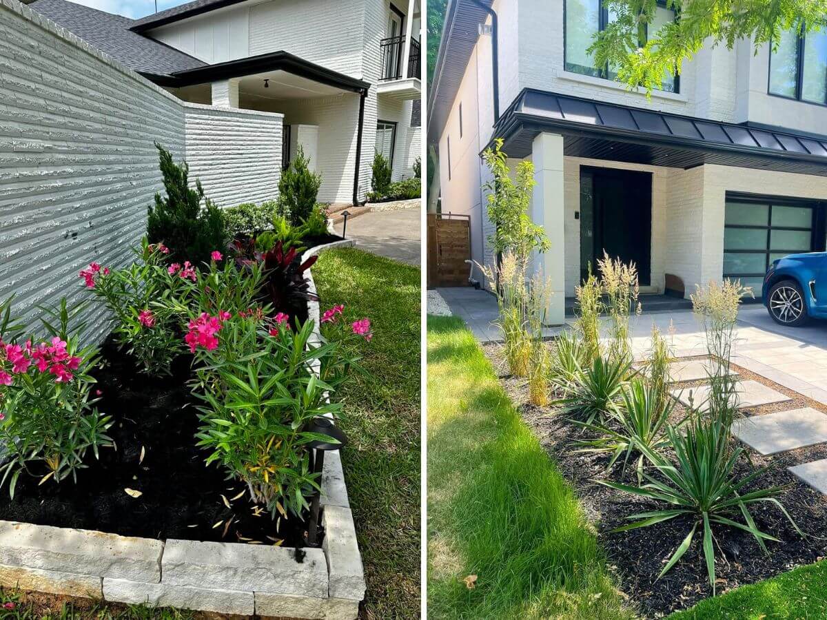 budget front yard landscaping ideas
