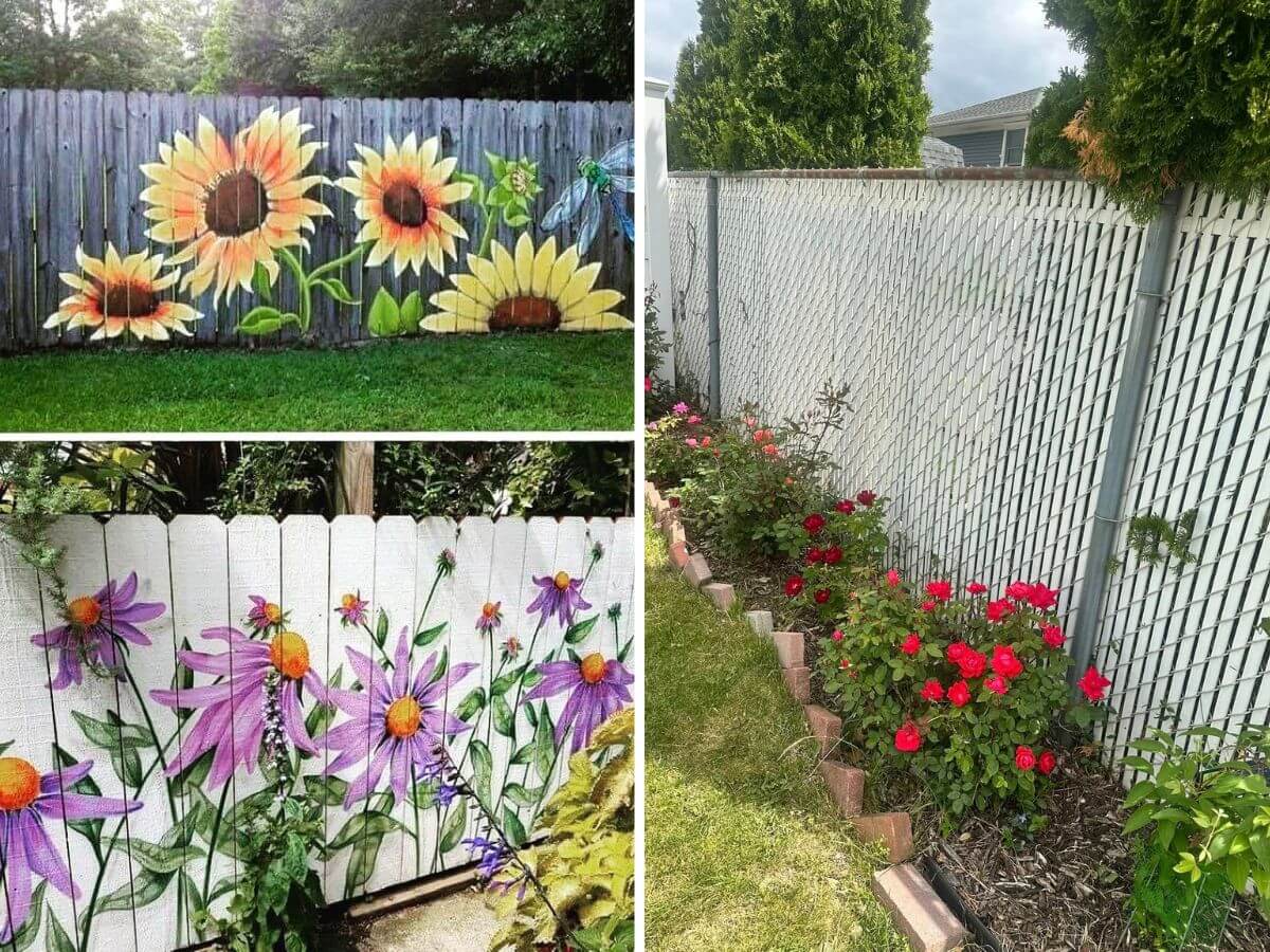 Privacy Fence Ideas on a Budget